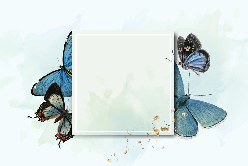 带有蓝色蝴蝶图案背景向量的方形框架