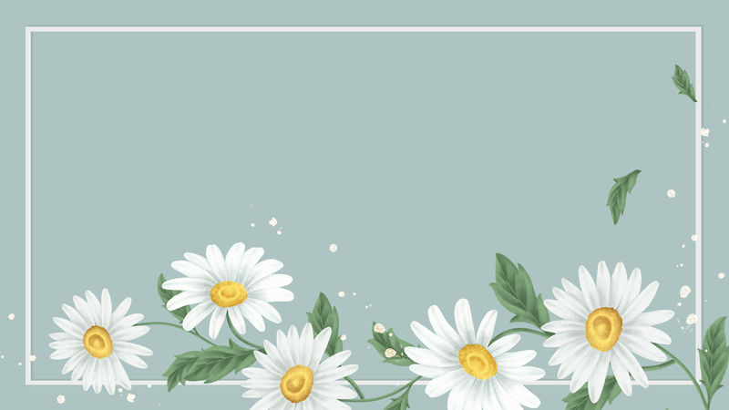 淡绿色背景上的雏菊花架插图