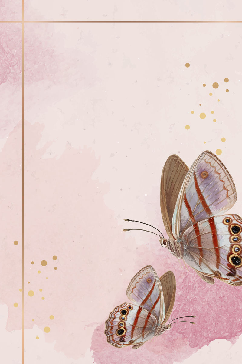 带粉色蝴蝶图案背景向量的金色框架