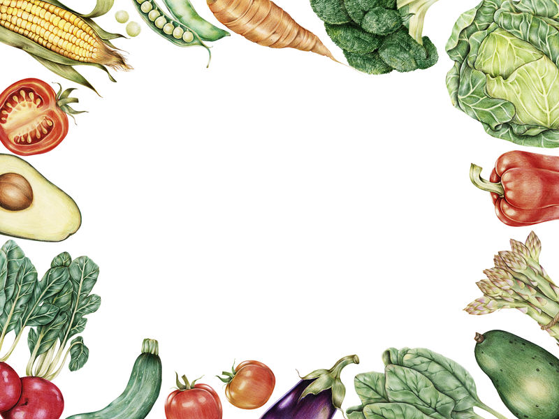 设计空间的手绘蔬菜收藏