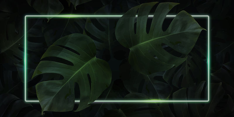热带树叶背景向量上的矩形绿色霓虹灯框架