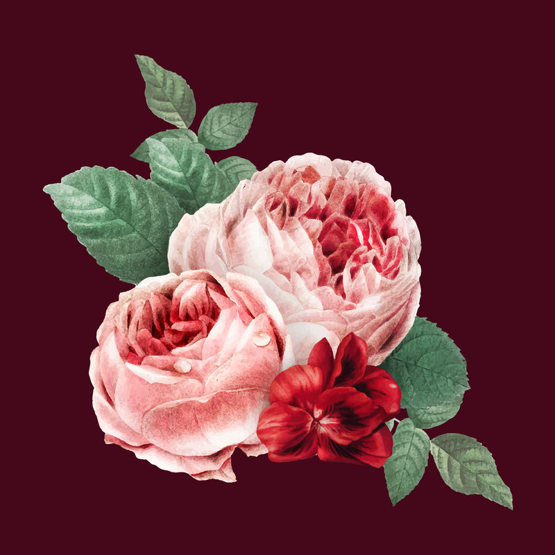 复古红矢量双苔藓玫瑰花束手绘插图