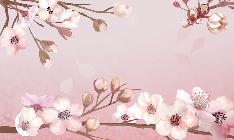 粉红色背景上的手绘樱花