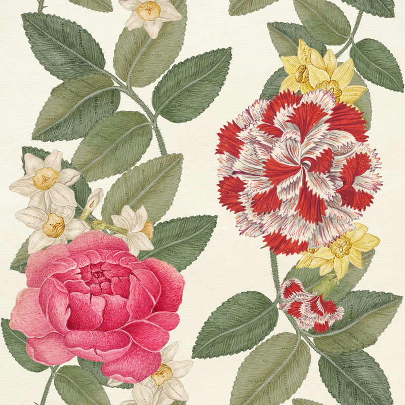 复古花卉图案背景从史密森尼档案馆18世纪的艺术品中混合而成