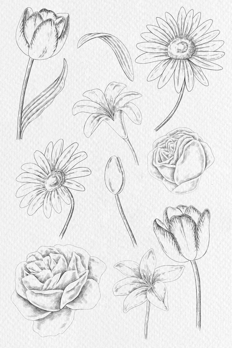复古花卉绘画套装手机壁纸插图模型