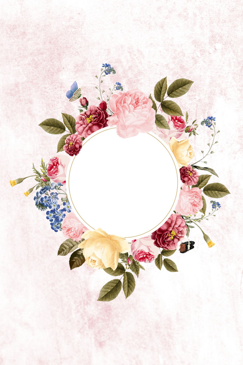 粉色混凝土墙上的花朵圆形框架插图