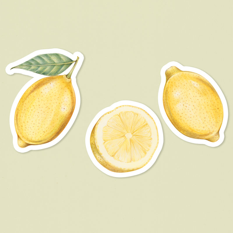 复古黄色柠檬贴纸psd植物插图