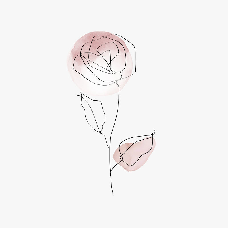 玫瑰花psd线条艺术最小粉色粉彩插图