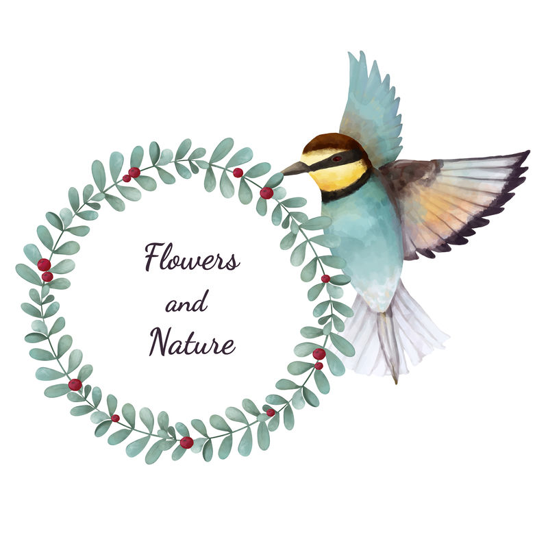 食蜂鸟水彩植物花环插图