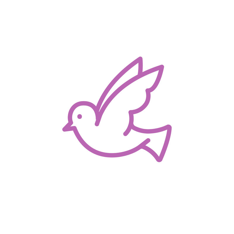 象征和平的白鸽