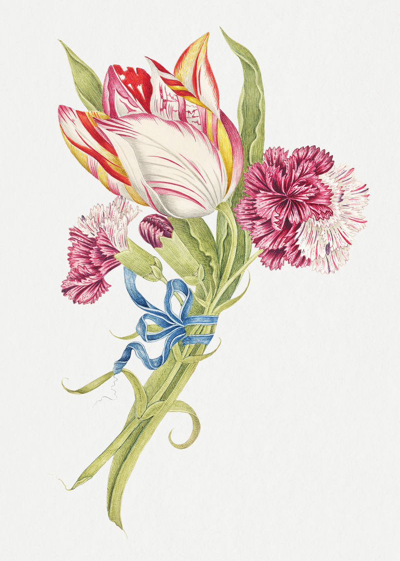 复古康乃馨和郁金香psd插图从史密森档案馆的18世纪艺术品中混合而成