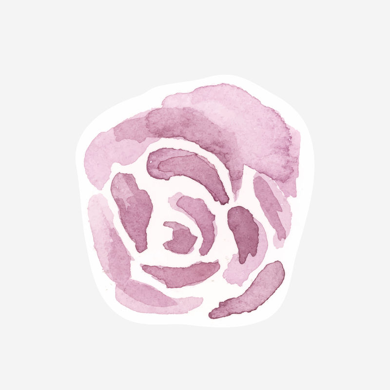 经典粉色玫瑰psd手绘水彩花