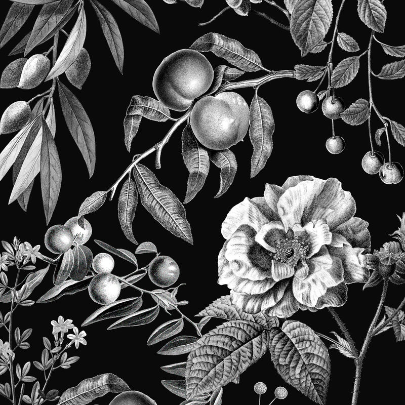 复古玫瑰图案矢量黑白植物和水果插图