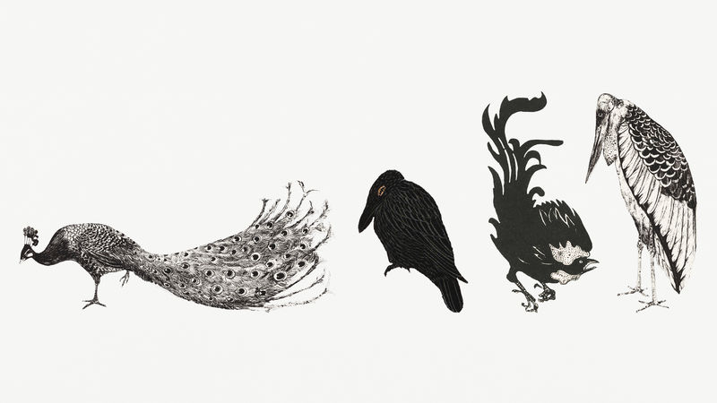 复古鸟类艺术印刷品收藏由西奥·范·霍伊泰玛的作品混合而成