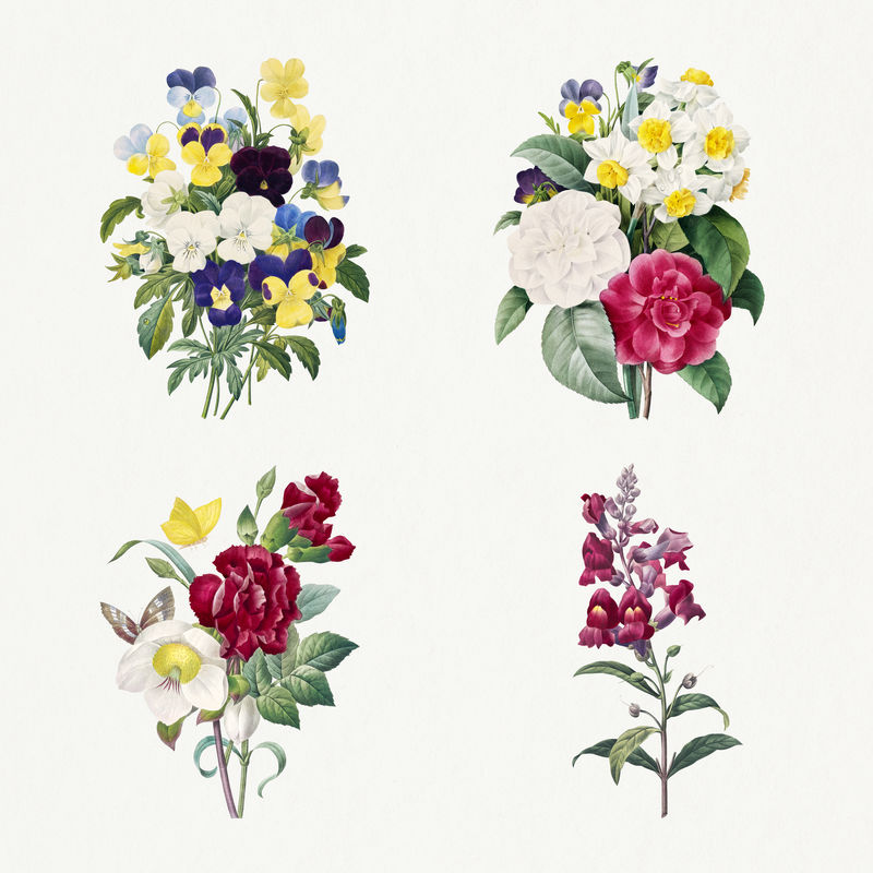 植物花卉psd插图套装由皮埃尔·约瑟夫·雷多特的艺术品混合而成