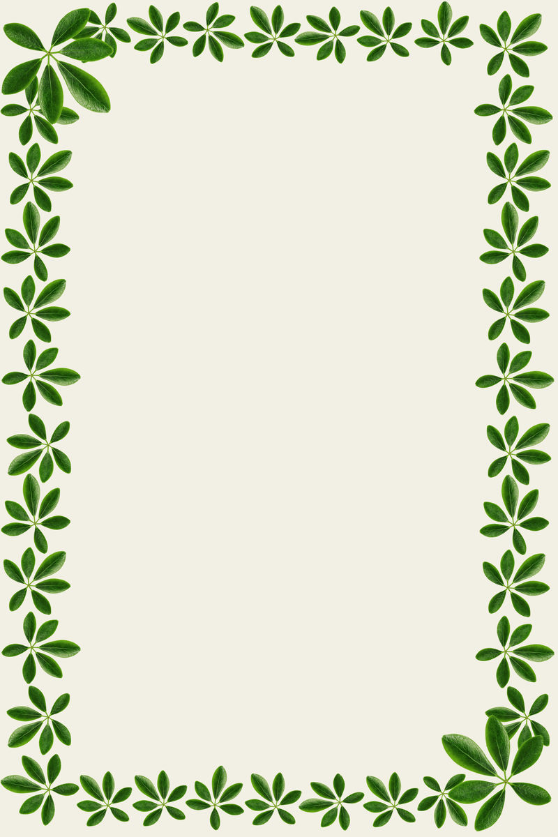 灰白色背景上的绿叶矩形边框