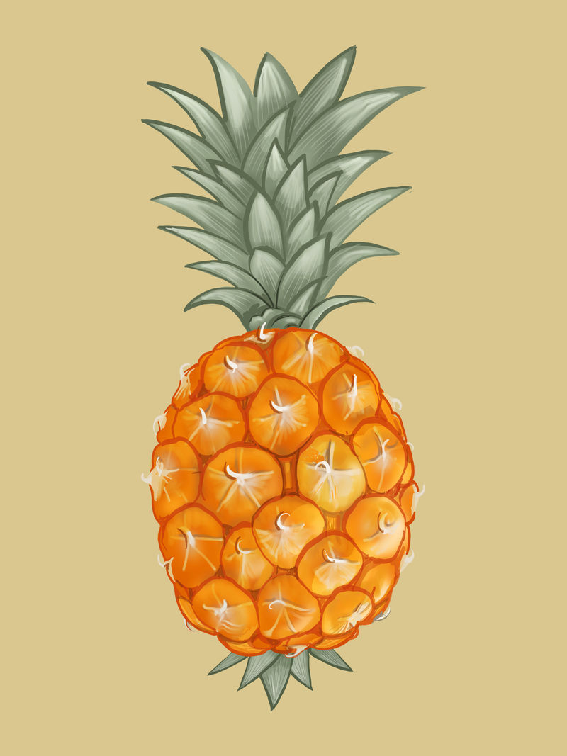 全新鲜热带菠萝插画
