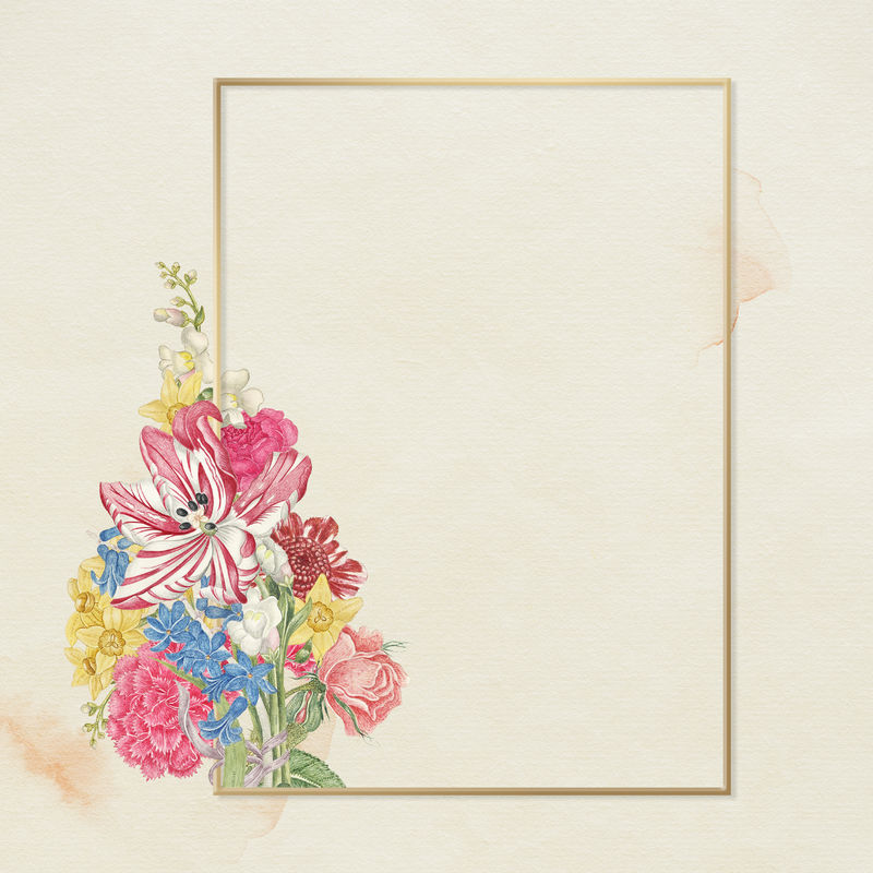 Psd花卉金框从史密森档案馆18世纪的艺术品中重新混合而成