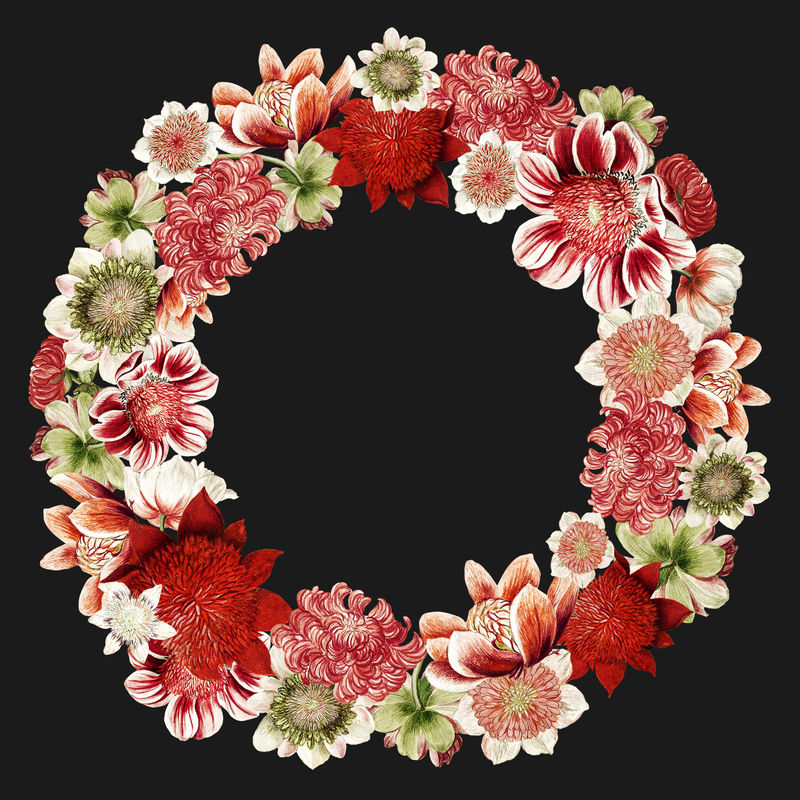海葵花的复古插图形状像花环
