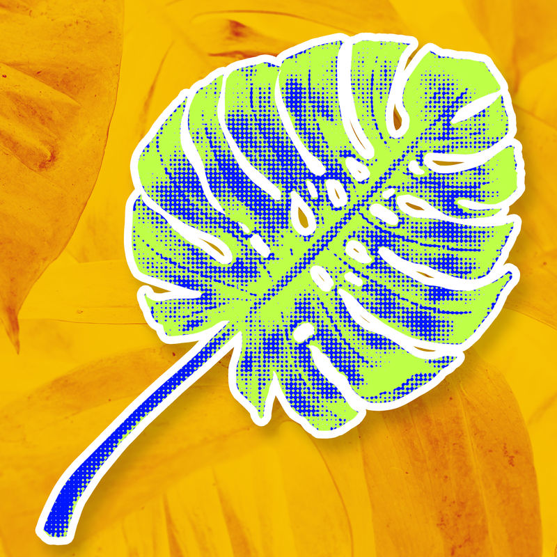 Monstera leaf插图波普艺术风格设计元素贴纸