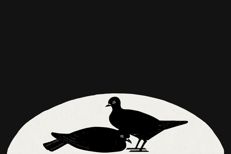 复古鸽子动物艺术印刷背景向量由塞缪尔·杰瑟伦·德梅斯基塔的艺术作品混合而成