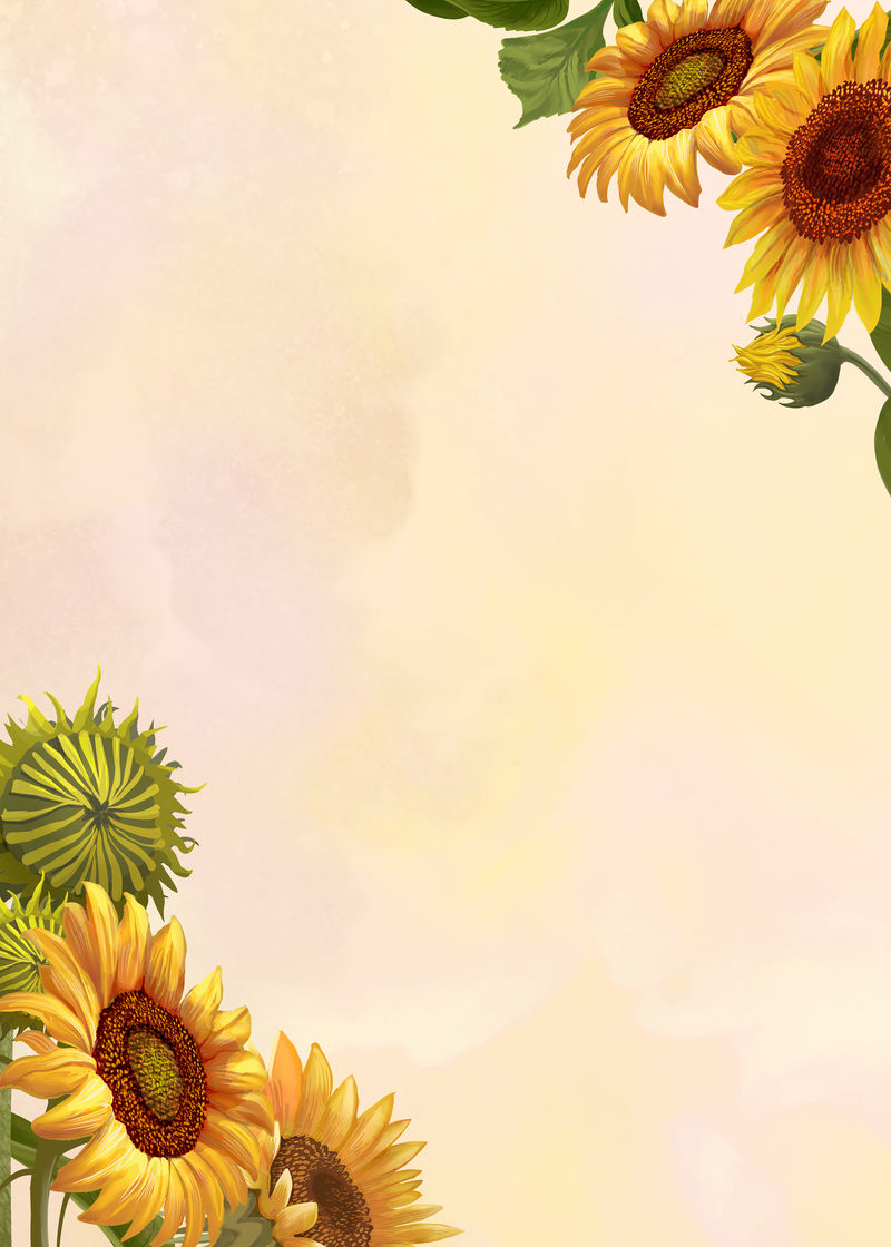 黄色背景上的手绘向日葵