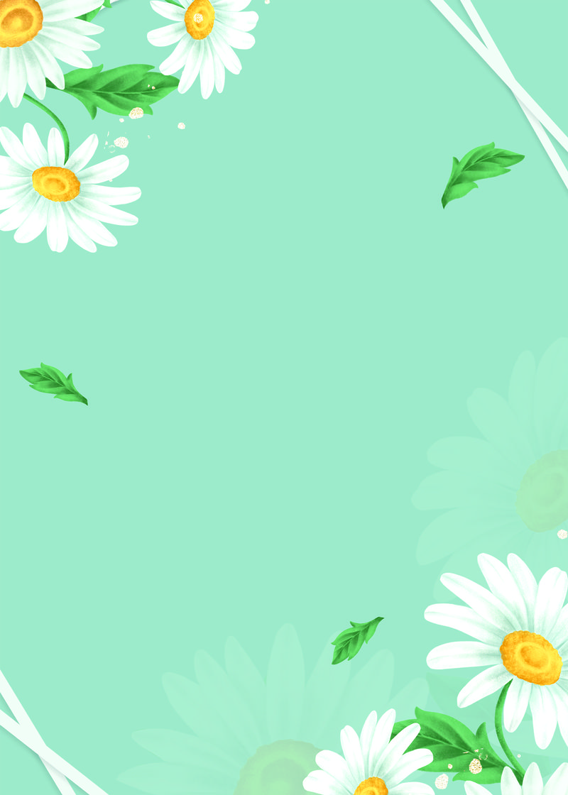 淡绿色背景上的雏菊花架插图