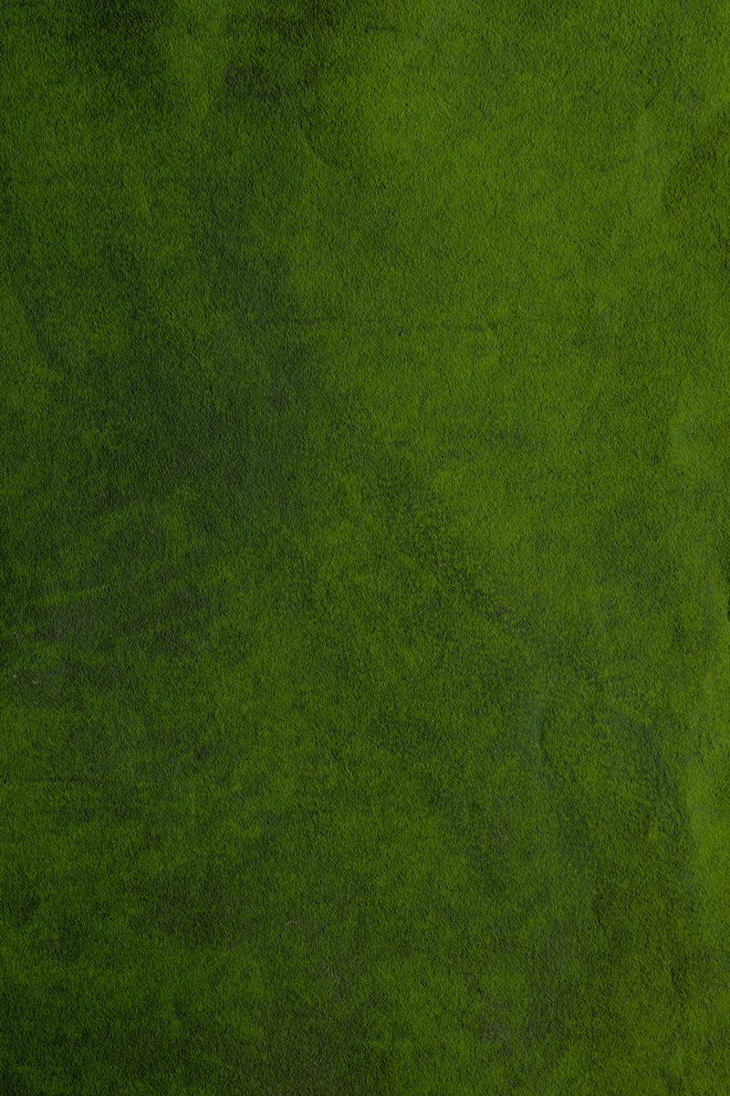 粗绿色混凝土纹理背景