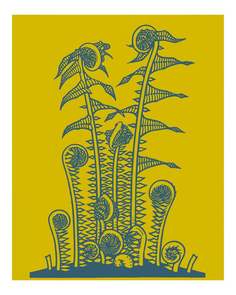 复古蕨类植物插画墙面艺术印刷品和海报设计