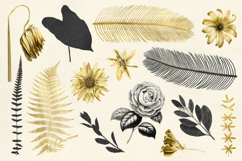 复古叶与花金色植物贴纸系列