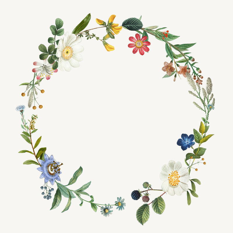 复古植物花环框架手绘插图