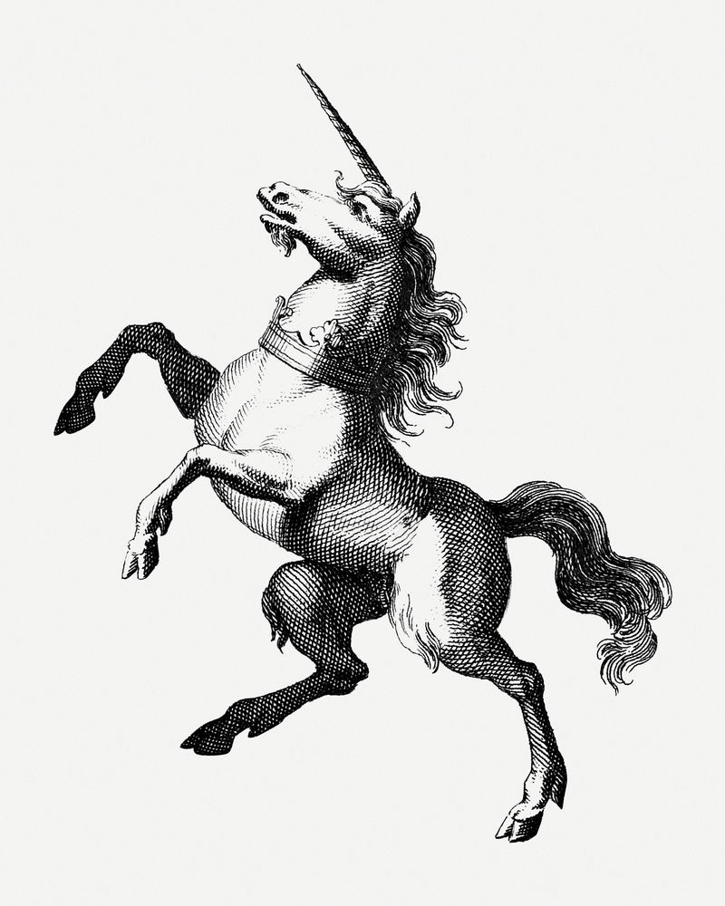 古董独角兽马雕刻插图