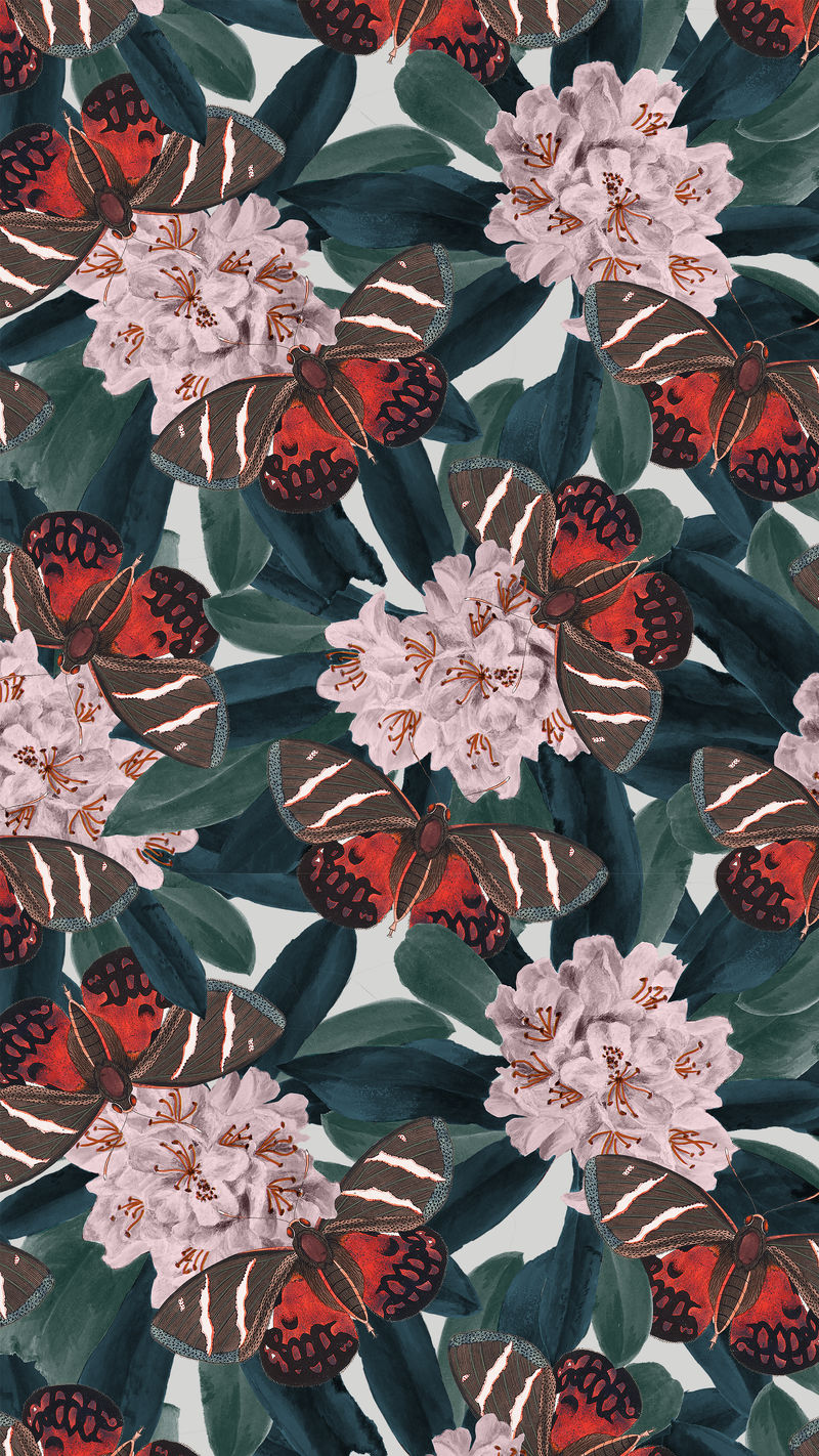 花卉和蝴蝶抽象图案博物学家的复古混音&#x27；乔治·肖的《美国杂集》