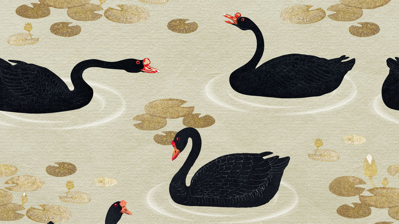 金色荷花图案的游泳黑雁在米色背景上的插图