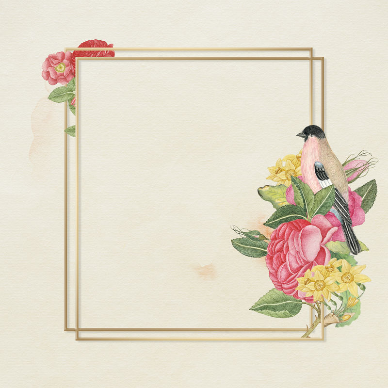 花卉金框从史密森档案馆18世纪艺术品中重新混合而成
