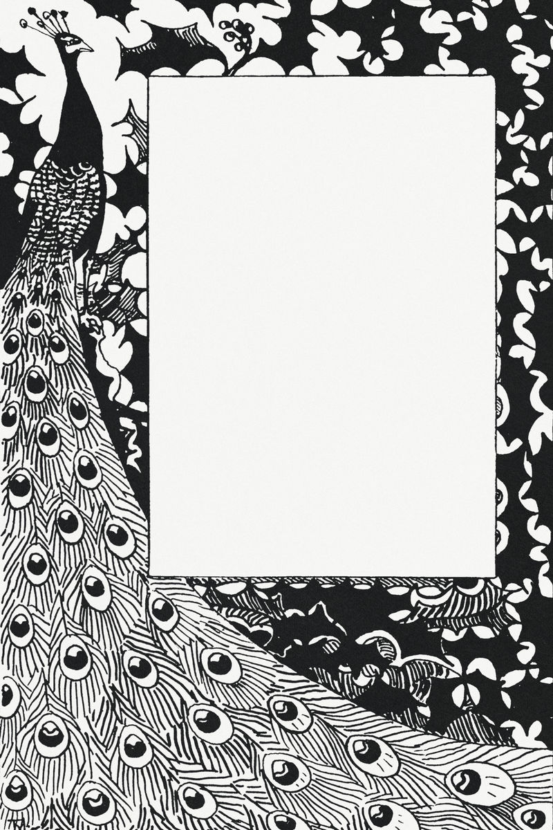 复古黑白孔雀羽毛框由Theo van Hoytema的艺术品混搭而成
