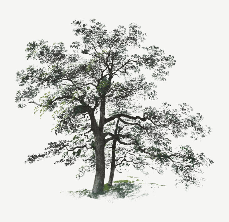 复古树插图由约翰·雅各布·多纳的艺术作品混合而成