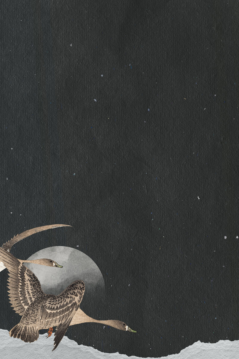 满月夜空中的飞雁背景插图