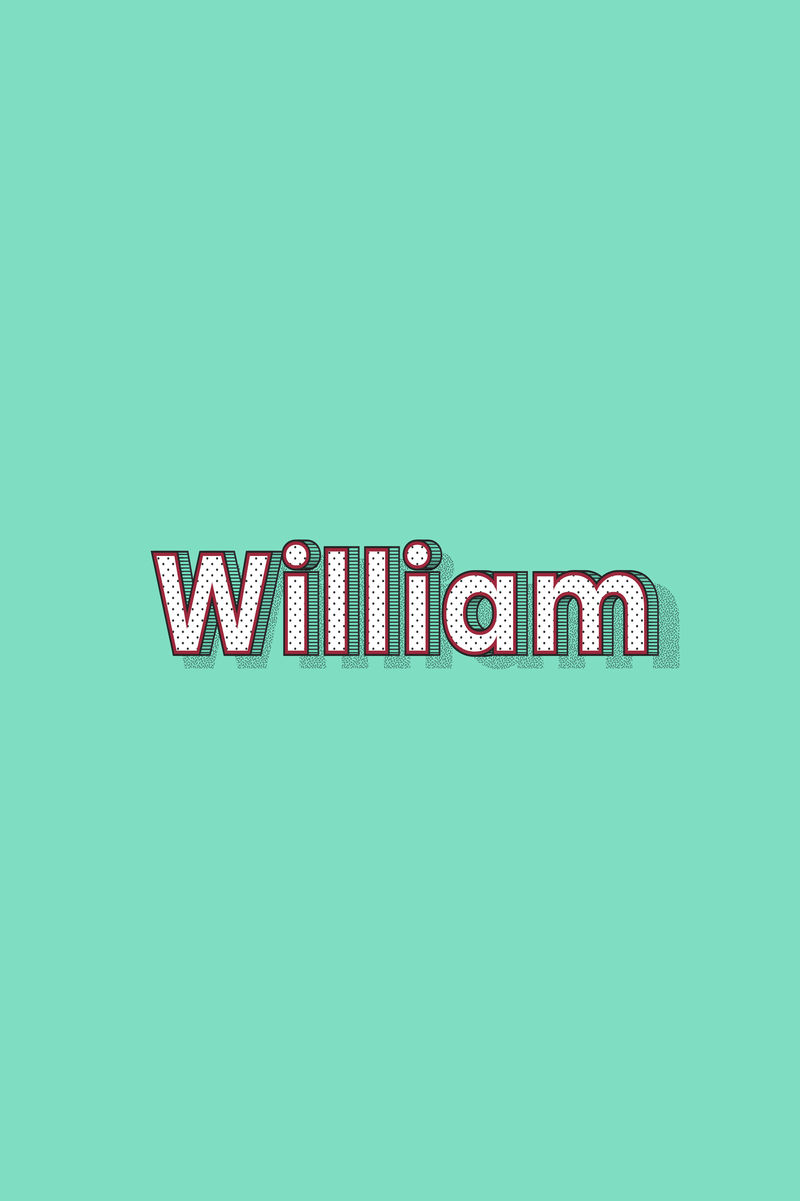 William name字体阴影复古排版