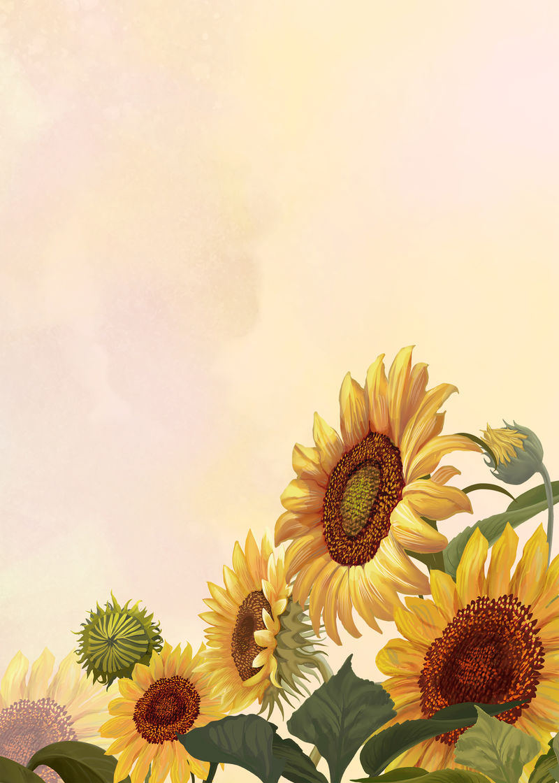黄色背景上的手绘向日葵