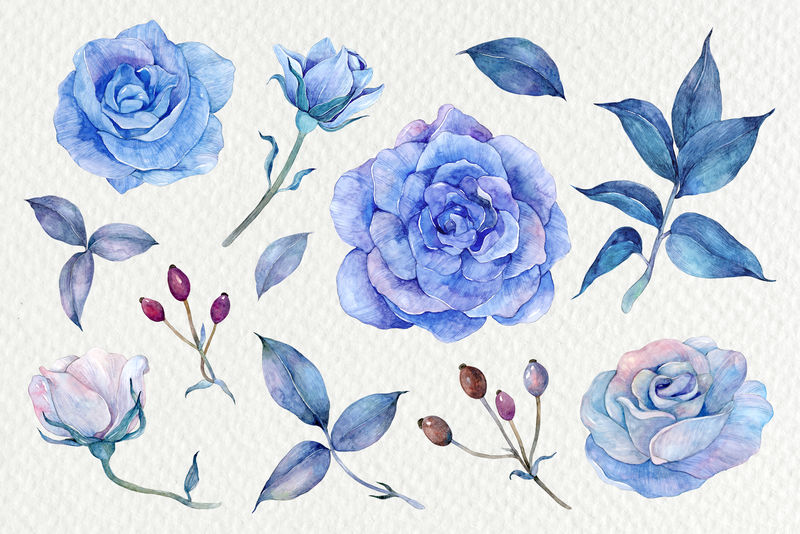 蓝色水彩花卉插画