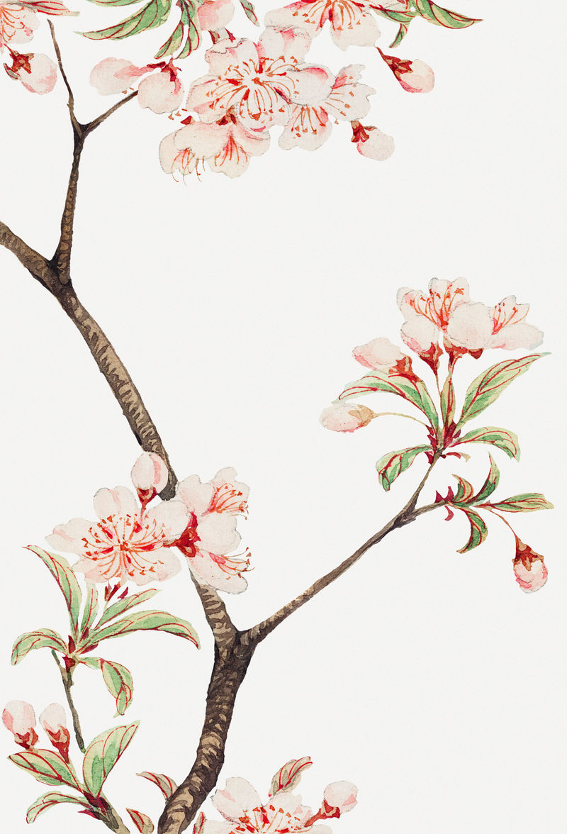 复古日本樱花psd艺术印花由Megata Morikaga的艺术作品混合而成