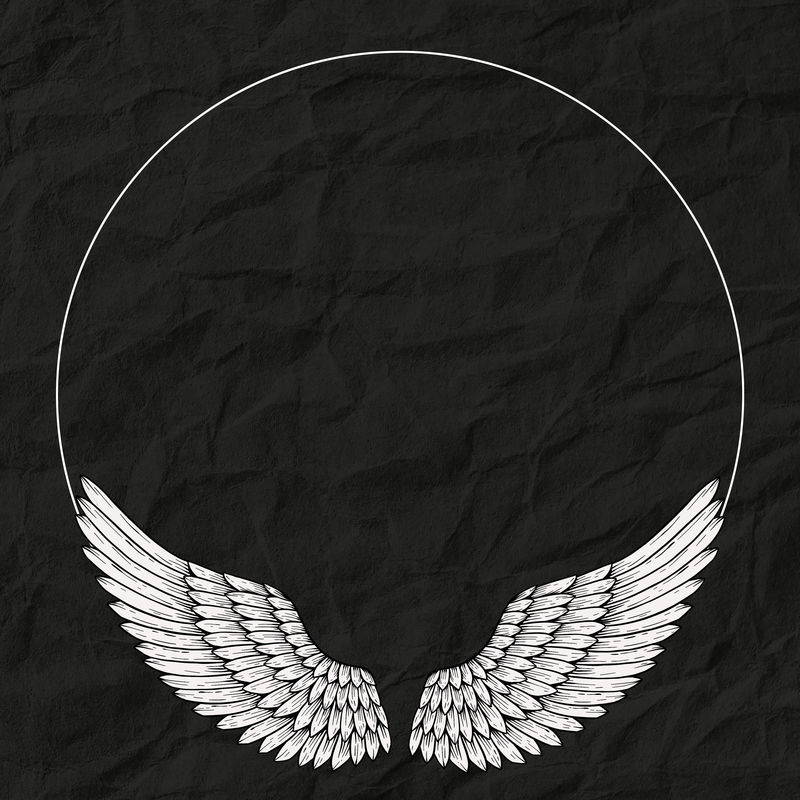 黑纸纹理背景上的天使之翼框架
