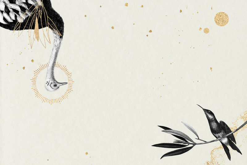 驼鸟和蜂鸟图案米色背景插图