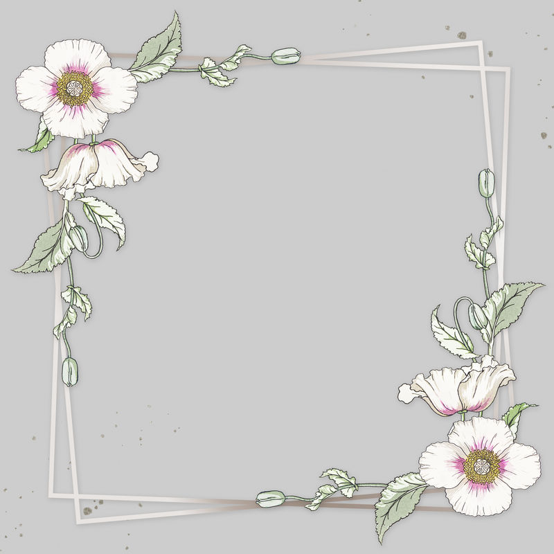 复古白色罂粟花框架设计元素