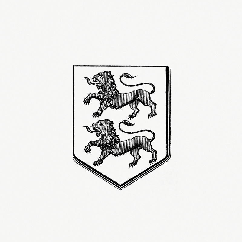 狮子中世纪纹章设计插图