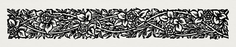 复古黑白叶和花装饰设计元素插图