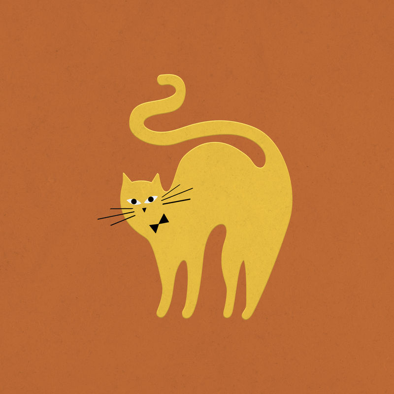 黄色猫的平面图psd