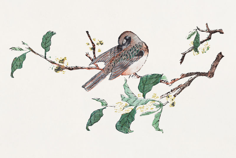 鸟栖息在树上的插图由胡正彦的艺术作品混合而成
