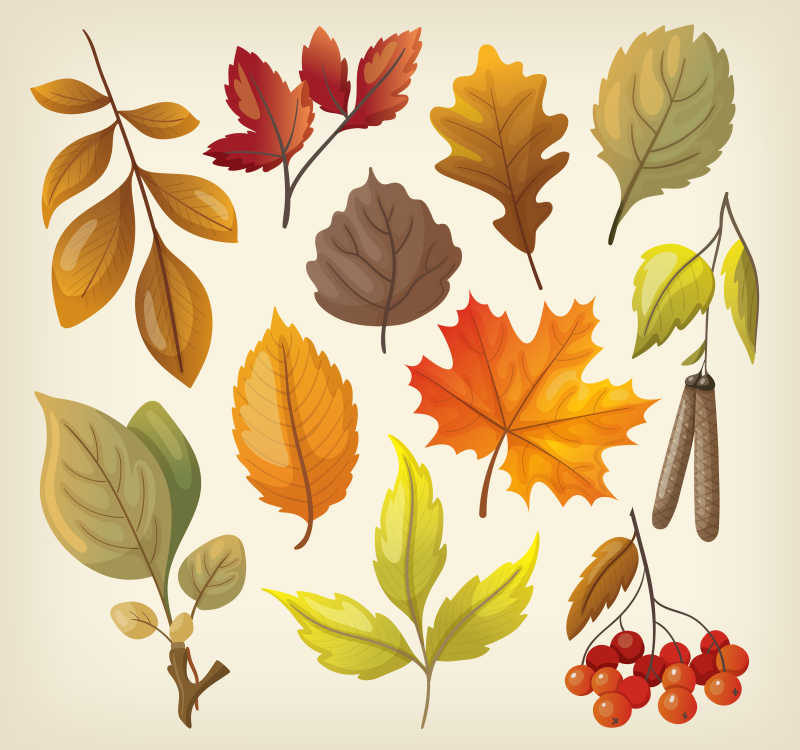 矢量秋季叶子插画装饰元素设计